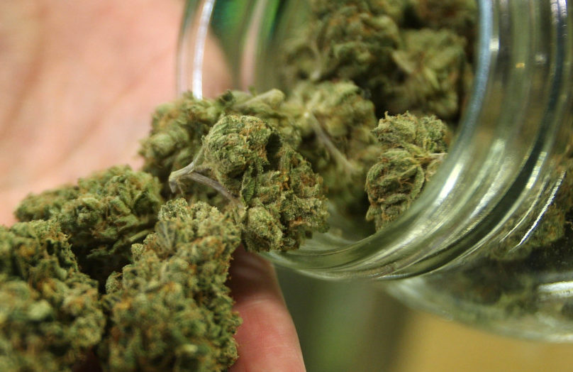 What happens to weed that's left in a jar for five years? | Dopamine