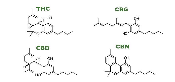 Common cannabanoids chemical composition, image from http://www.leafscience.com/2015/10/23/cannabinoids/